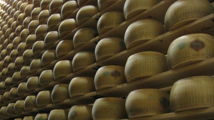 снимка: freeimages