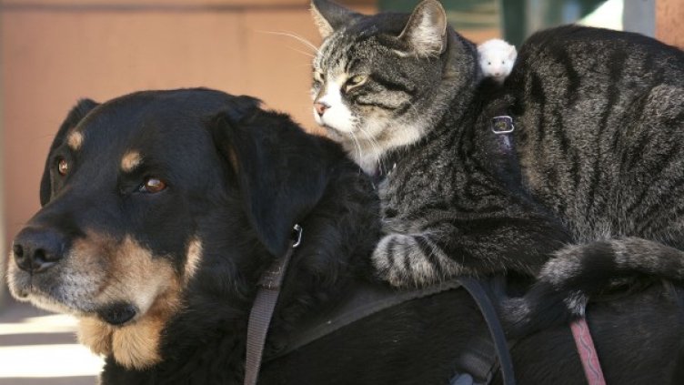 Снимка: архив, Reuters