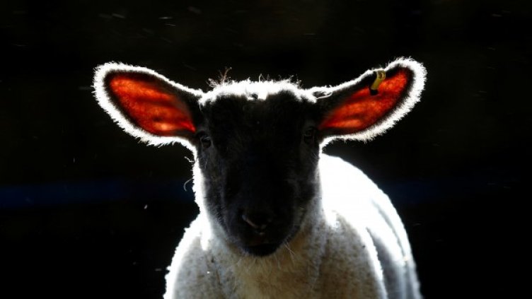 Снимка: архив, Reuters