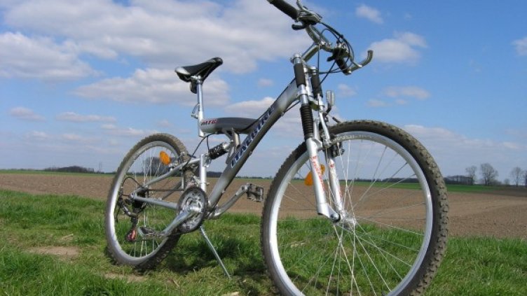 Снимка: freeimages