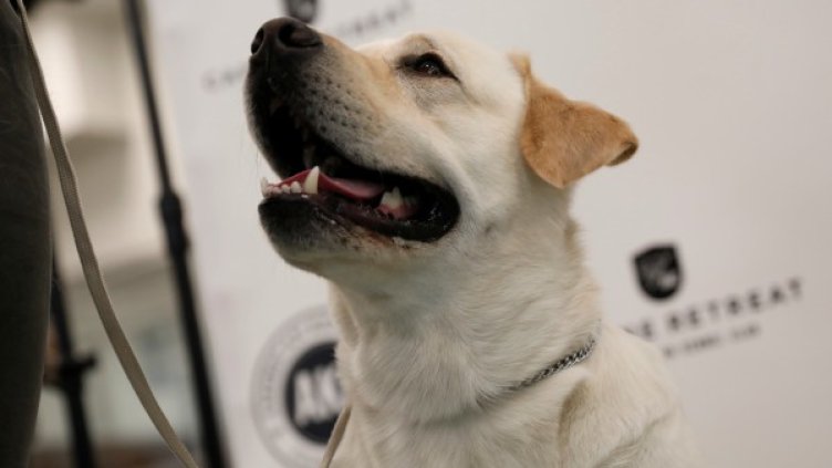 Снимка: Reuters, архив