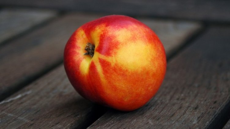 Снимка: freeimages