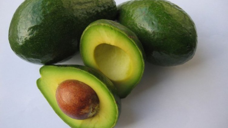 Снимка: freeimages