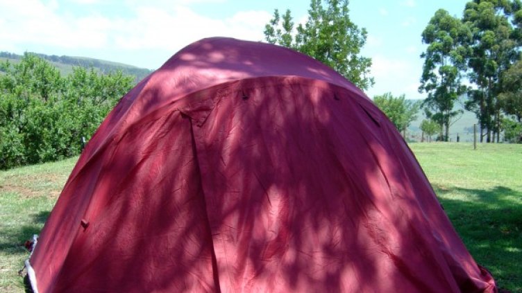 Снимка: freeimages