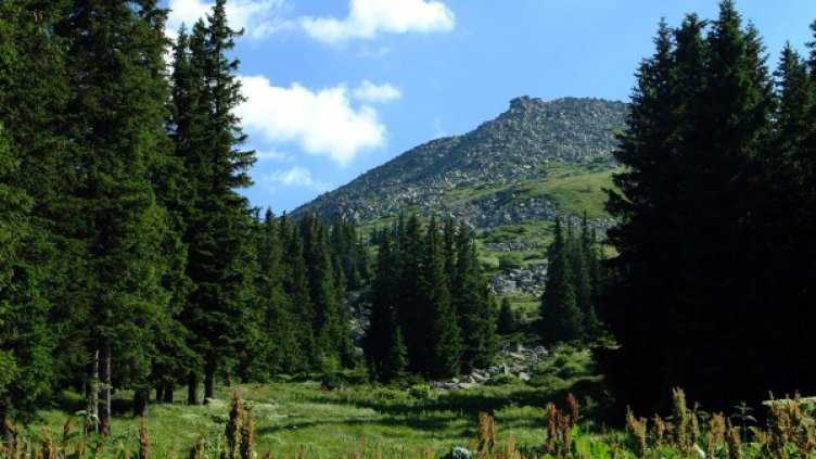 Архив: Булфото