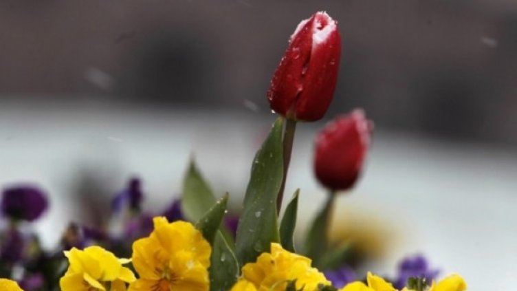 Снимка: архив Reuters