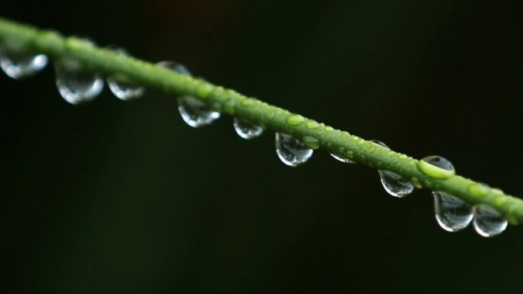 Снимка: архив Reuters