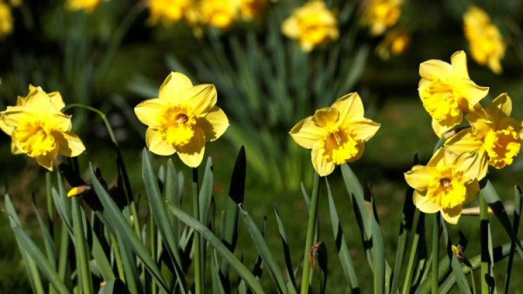 Снимка: архив, Reuters