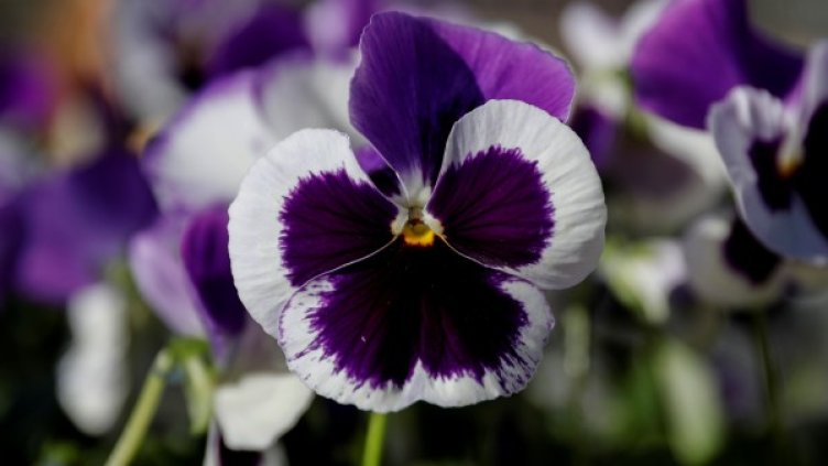 Снимка: архив, Reuters