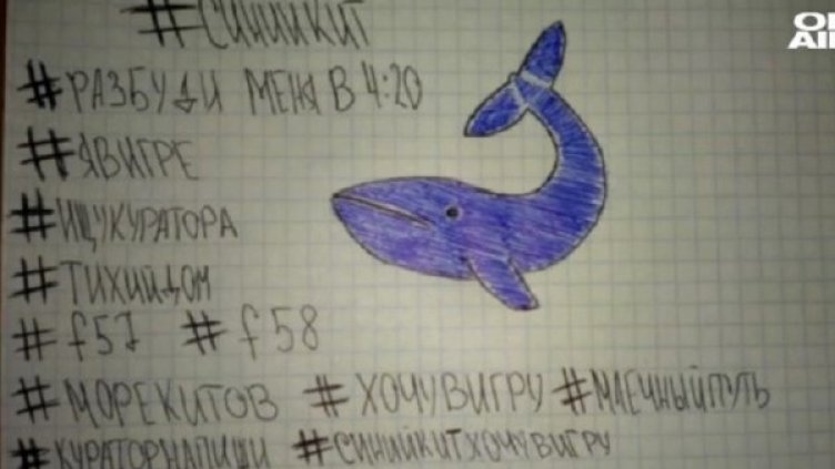 Снимка: Bulgaria ON AIR