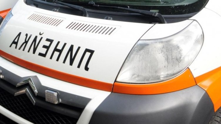 Снимка: Булфото