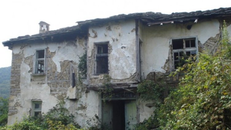 Снимка: Монитор