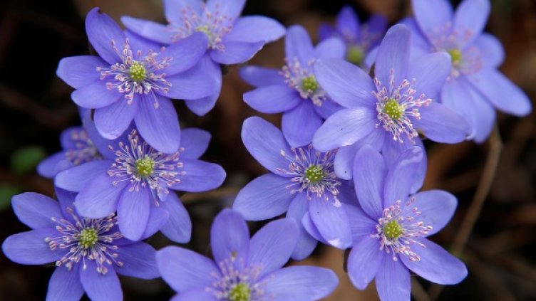 Снимка: Reuters, архив