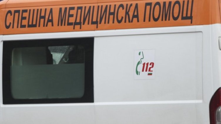 Снимка: Архив, Булфото