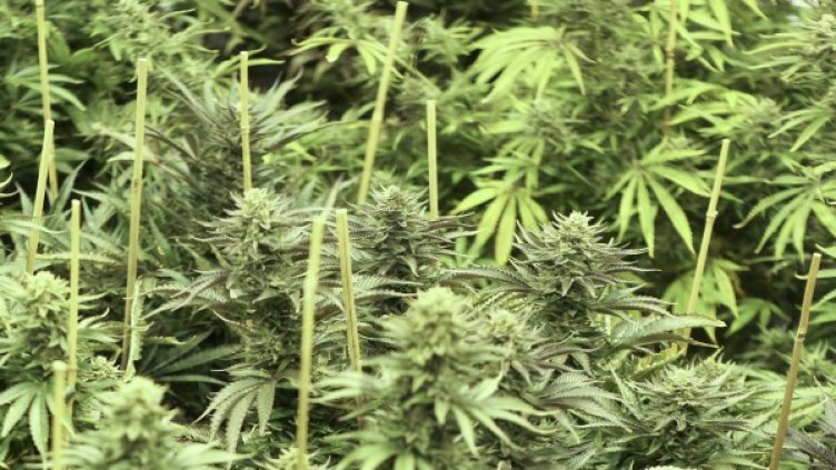 Снимка: архив, Reuters