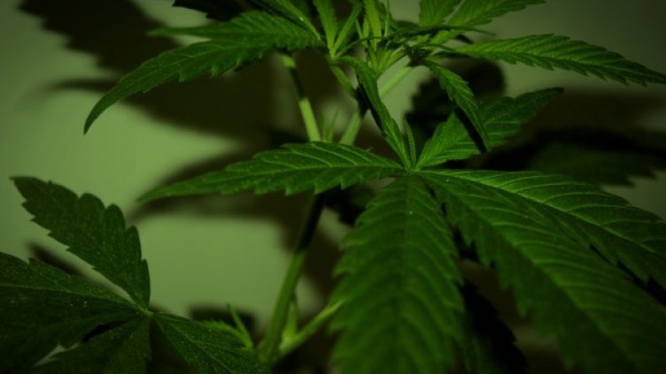 Снимка: Flickr.com