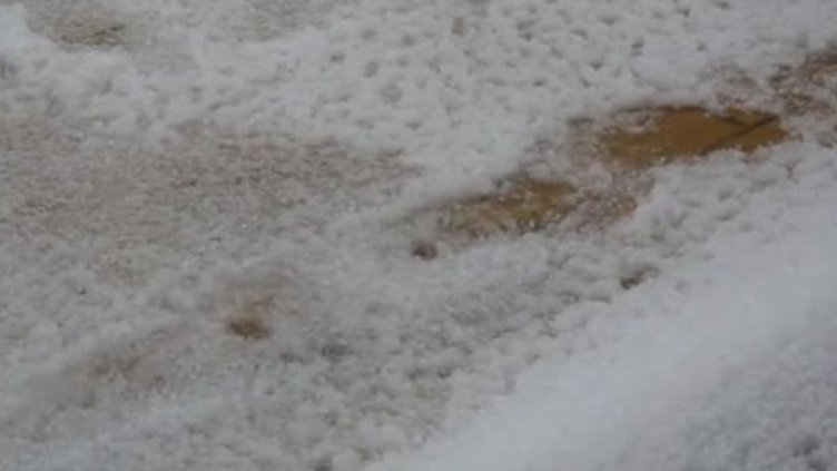 Снимка: Bulgaria ON AIR