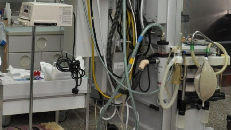 Снимка: архив, БулФото