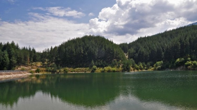 Снимка: архив "Булфото"