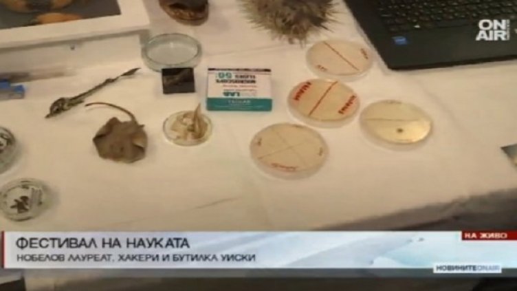 Снимка: Bulgaria ON AIR