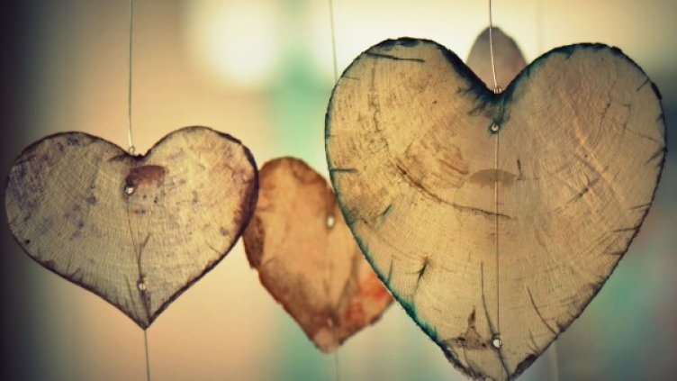 Снимка: pixabay