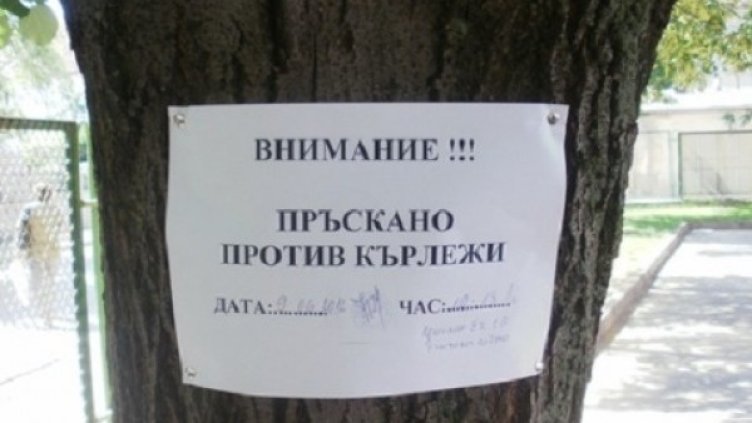 Снимка: Булфото, архив