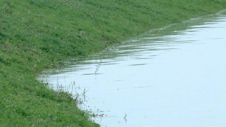 Снимка: Булфото