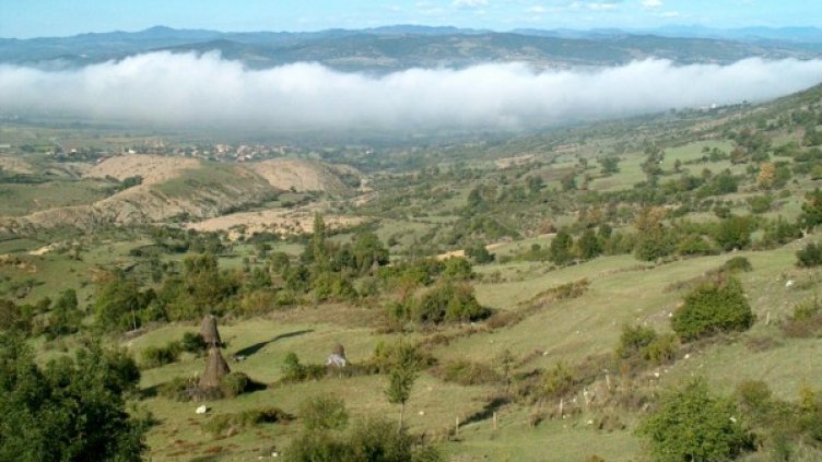 Архив: Булфото