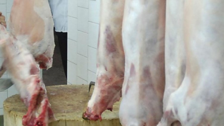 Архив: Булфото