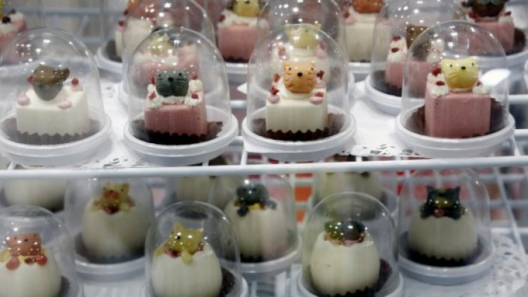 Източник: Reuters, архив