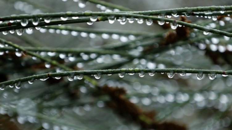 Снимка: Reuters, архив