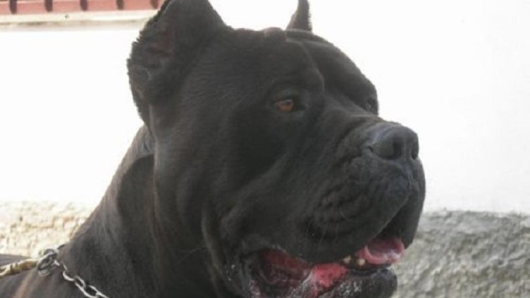 Снимка: Flickr