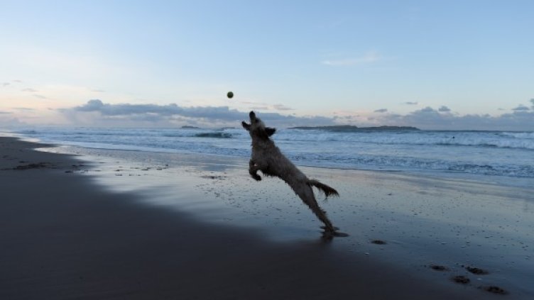 Снимка: Reuters, архив