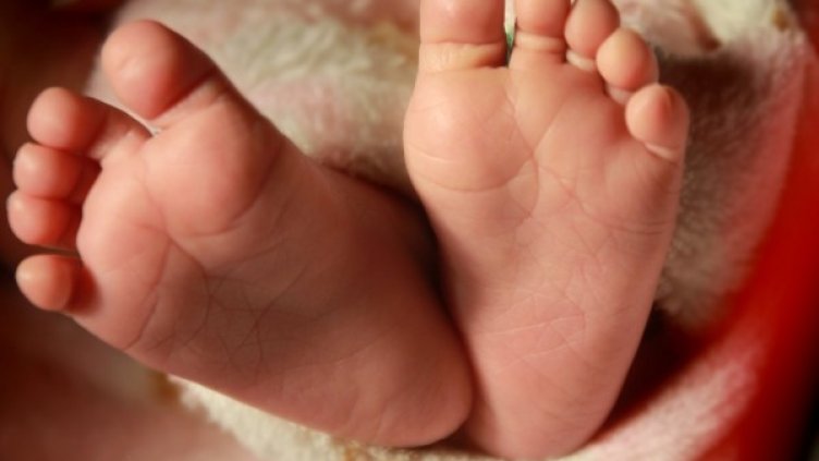 Снимка: Visualhunt