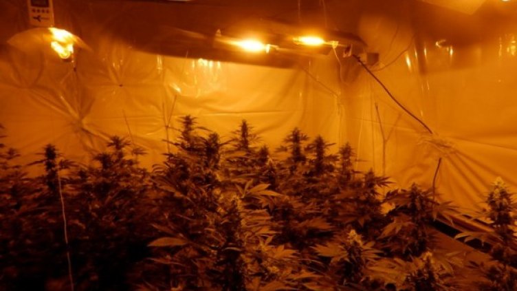 Снимка: МВР