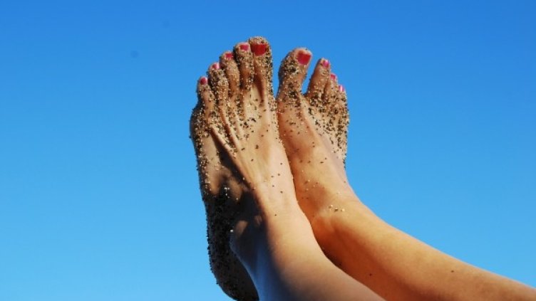 Снимка: freeimages