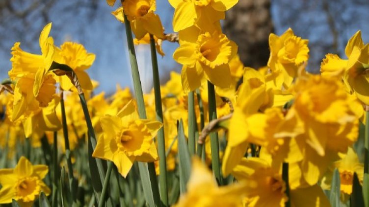 Снимка: архив, Reuters