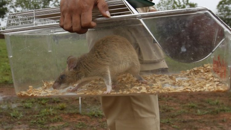 Снимка: архив, Reuters