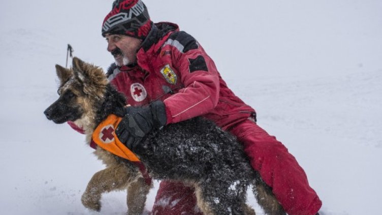 Снимка: Булфото, архив