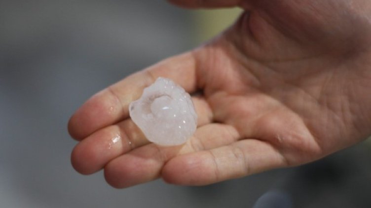 Снимка: архив, Булфото