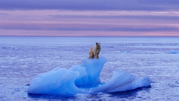 Снимка: flickr