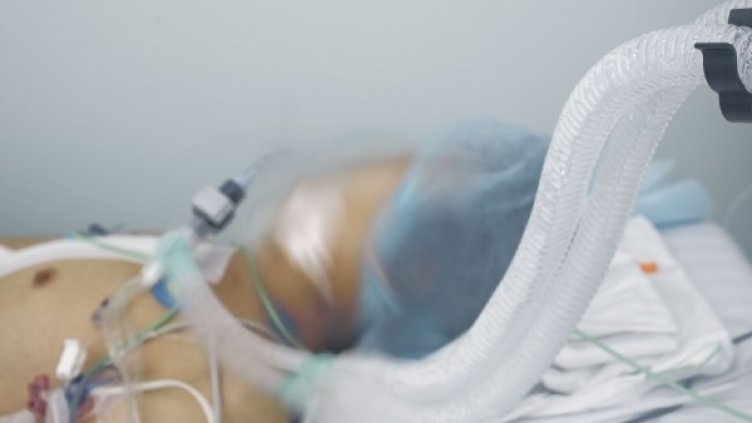 Снимка: flickr