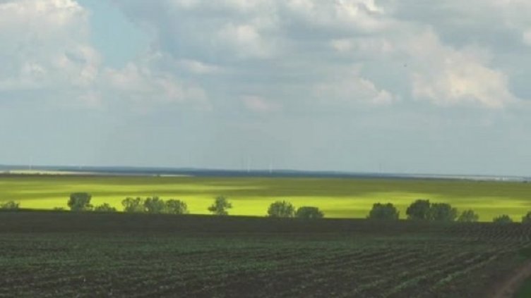 Снимка: Bulgaria ON AIR