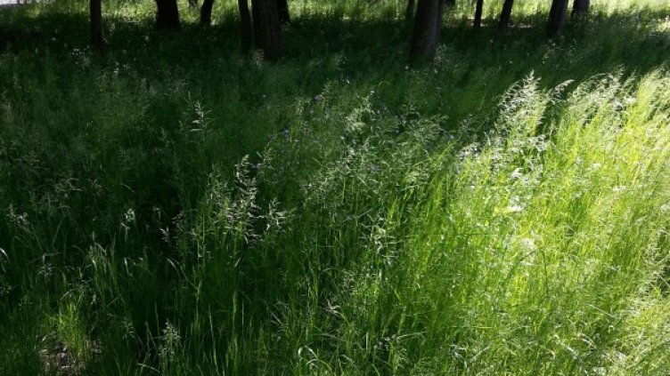 Снимка: Булфото