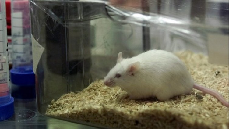 Снимка: архив, Reuters