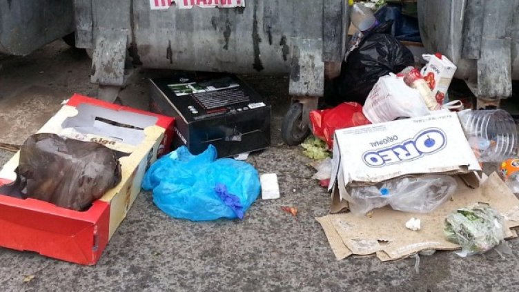 Архив: Булфото