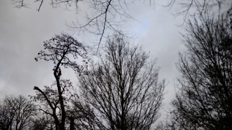 Снимка: Reuters