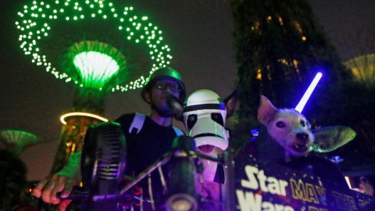 Снимка:  Reuters