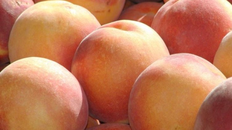 Снимка: freeimages