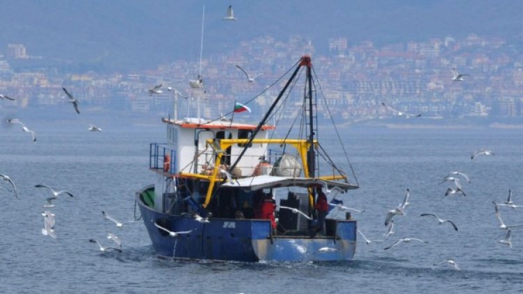 Снимка: архив, Булфото